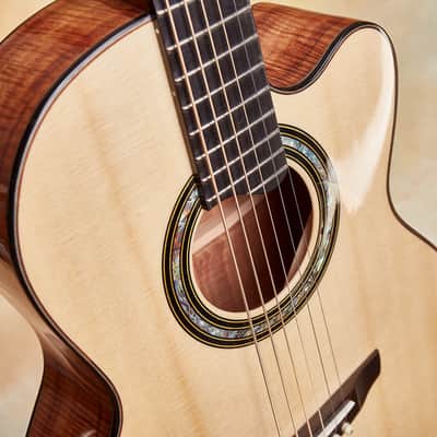 Linda Manzer Fanfret Baritone Acoustic image 19