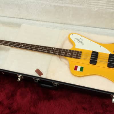 Gibson Thunderbird Refinish 4.25kg #121620649 image 12