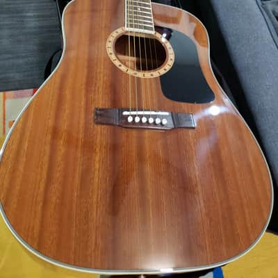 Washburn D100DM 2001 - Mahogany