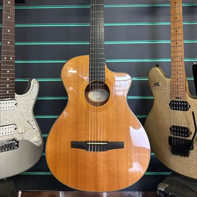 Taylor NS-32ce Gloss Natural 2002 Classical Electro-Acoustic Guitar image 2