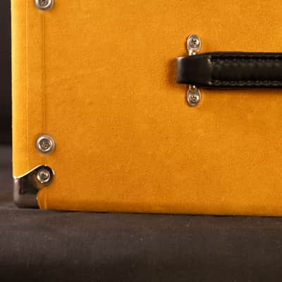Amplified Nation Dirty Wonderland 2021 - Buckskin Suede 50 Watt image 8