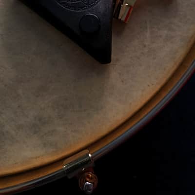 Pearl 50th Anniversary Solid Maple 1996 image 4