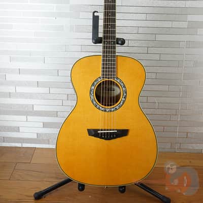 Aspen Exclusive D'Angelico Deluxe Tammany - Vintage Natural image 11