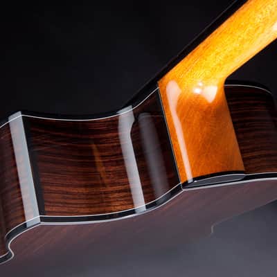 Greenfield Guitars GF #00001 acoustic fingerstyle guitar image 6