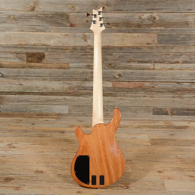 PRS Gary Grainger Signature 5-String image 2