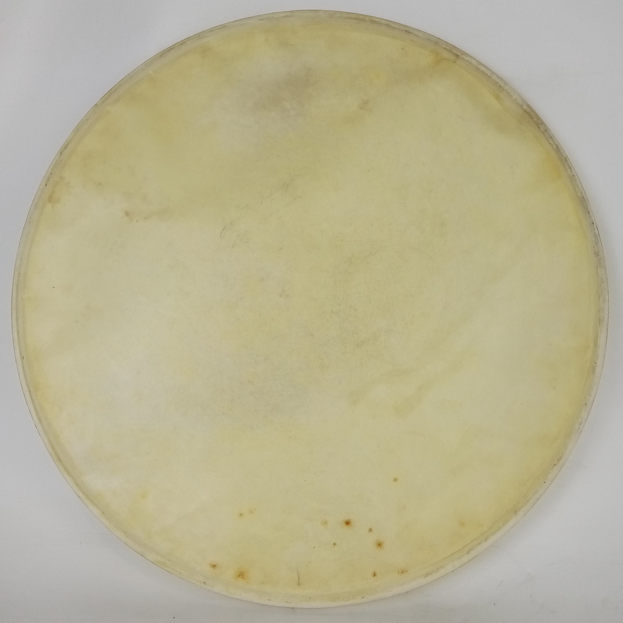 WFL Ludwig 14" White Calfskin Keystone Snare Drum/Floor Tom Head Vintage Batter — main photograph