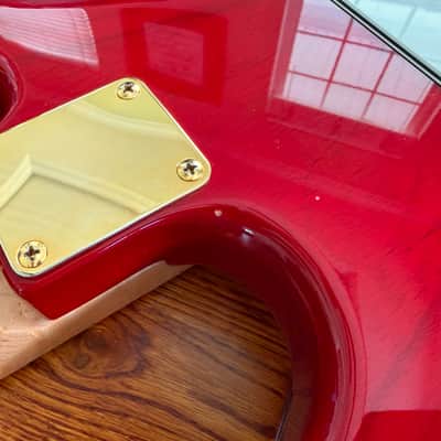 Premium Custom Stratocaster, Warmoth Body, USACG Neck, Gotoh Hardware, Dimarzio Pickups - Partscaster, Strat image 19