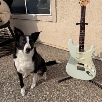 Fender American Special Stratocaster Sonic Blue with Seymour Duncan Hot Rail bridge pickup (2017) image 8