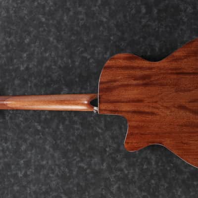 Ibanez AEG200 LGS - Natural Low Gloss image 2