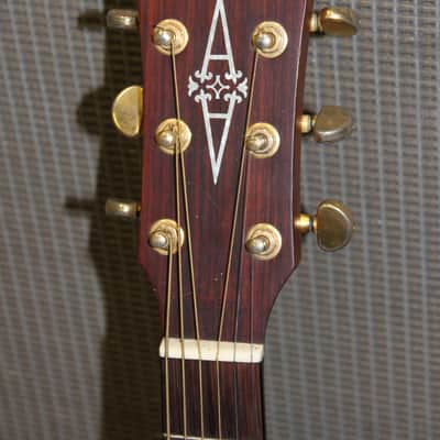 Alvarez 5030 | Reverb