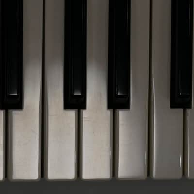 Roland JP-8000 (Serviced) image 21