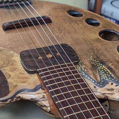 Ray Vincent Shell back guitar 2023 - Shellac and oil image 16