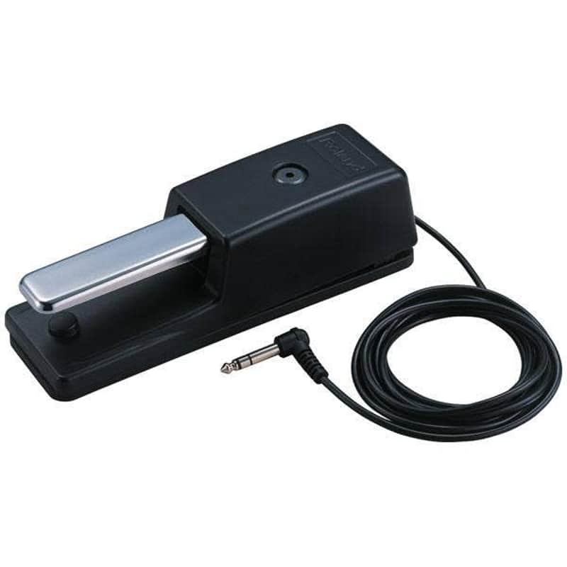 DP10 Sustain Damper Pedal image 1