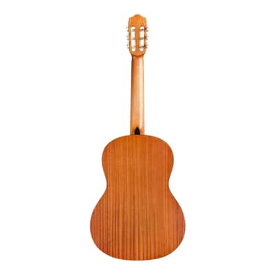 Cordoba C1M Protg Series Full-Size Nylon-String Classical Guitar (Natural) image 3