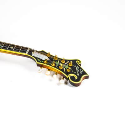 Flatiron F5 Master Model Owned by Matt Freeman Of Rancid image 5