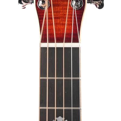 Beard Legacy E  Squareneck Curly Maple image 2