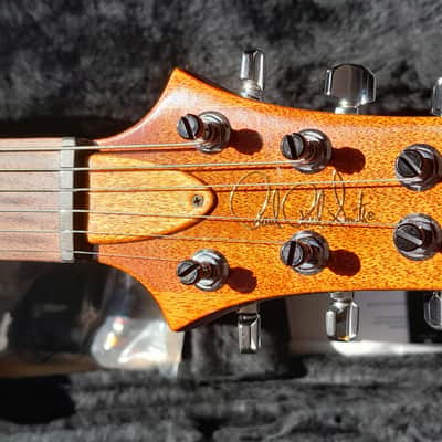 PRS USA CU22 Custom 22 (2002) w/ Case 2002 image 12