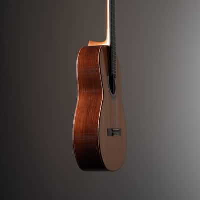 Wolfgang Jellinghaus Alemana EF Doubletop CD/CD CD/AR - French Polish image 8