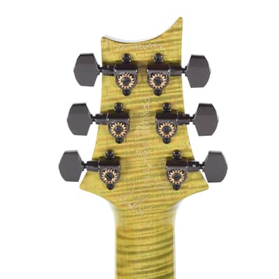 PRS Private Stock #11767 Paul's Guitar Curly Maple/African Mahogany Rainforest Glow w/Stained Neck/Fingerboard & Birds of a Feather Inlay (Serial #0406986) image 7