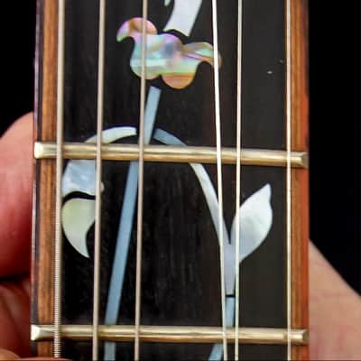 Ibanez AR5000-AV Artist 1981 image 7