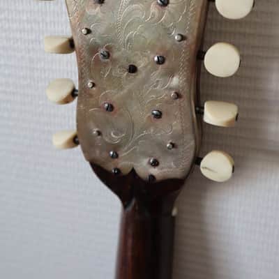 mandoline napolitaine a cotes creuses Giuseppe Serafino Garnotti image 8