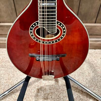 Eastman MD604 Acoustic Electric A-Style Oval-Hole Mandolin with Case image 2