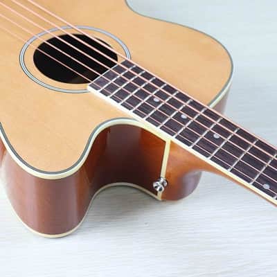Custom 5 String Acoustic Electric Bass, Mahogany Body, Spruce Top Body image 5