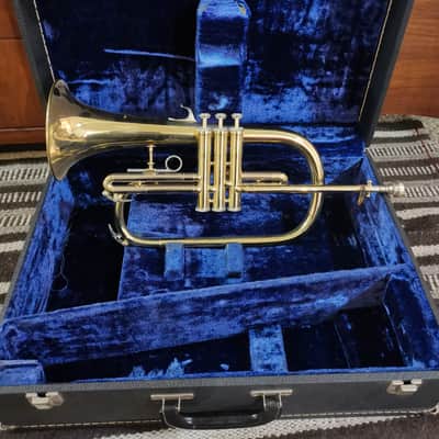 Blessing Artist Flugelhorn with Bach Mouthpiece and Dual Horn Case image 1