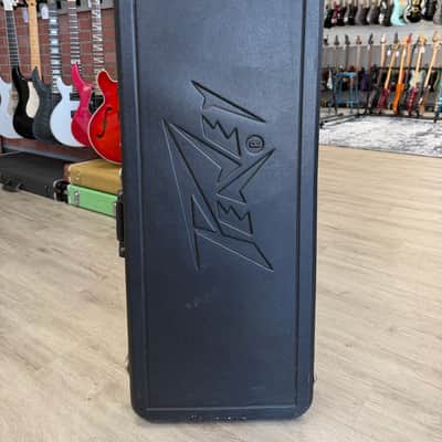 Peavey Nitro S Type Case image 1