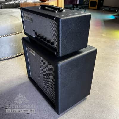 Friedman Mini Dirty Shirley 20 Watt Head & 1x12 Cabinet image 5