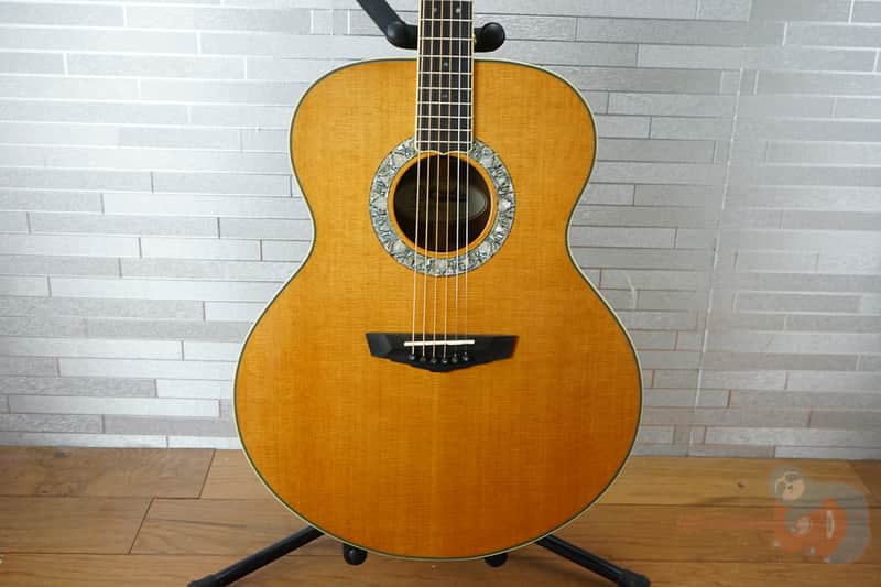 Deluxe Madison - Jumbo Acoustic w/ Hardshell Case- Limited Edition - Manufacturer's Sample - Vintage Natural image 1