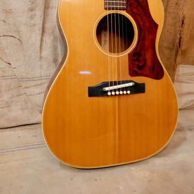 Gibson B-25 1965 - Natural image 6