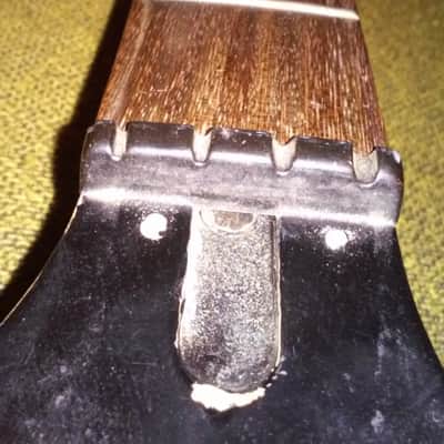 Epiphone Reverse T-Bird Neck maple/RW image 19