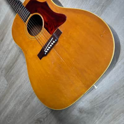Gibson J-50 1968/69 image 4