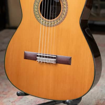 Jose Marques Tradicional Classical Guitar - Brazilian Rosewood with Hardshell Case image 3
