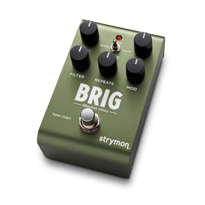 STRYMON BRIG dBucket delay image 2