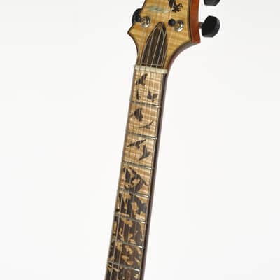 PRS Birds Of A Feather Private Stock Guitar Of The Month Owned by David Grissom image 10