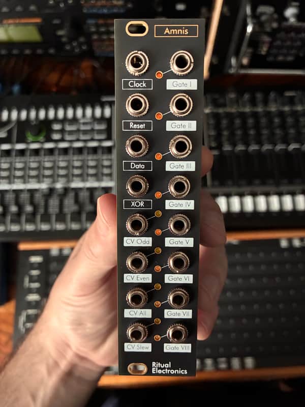 Ritual Electronics Amnis digital shift register | Reverb