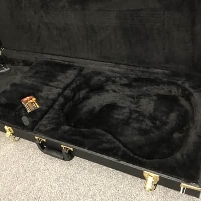 Godin Hardshell Case #007028 - Fits A6, A12, Encore, SA & Duet, Multiac Ambiance, ACS, & A11, A-6, A-12 image 5
