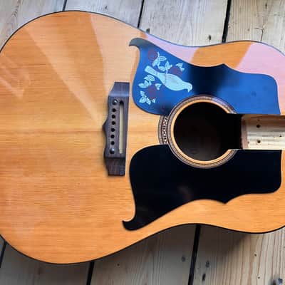 Kay K 550 70s 6 String Acoustic Guitar Body Made By Eko in Italy image 1