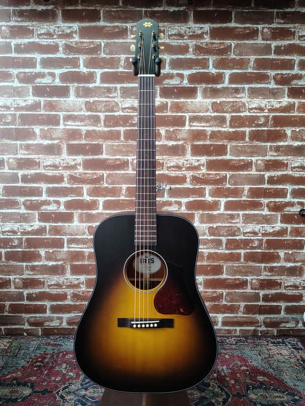 Iris Guitar Company DWH SB image 1
