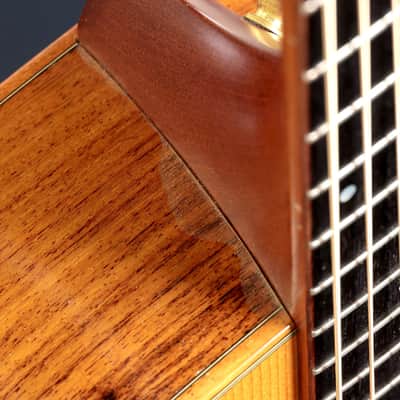 Taylor 710ce (2002 Made in the USA) Taylor Electro-Acoustic Acoustic Guitar [20020514120] (07/06) image 15