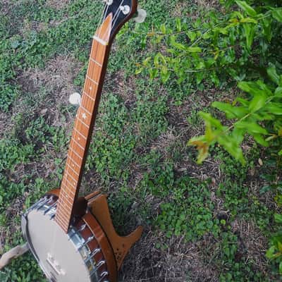 Vega Senator 5 string conversion 1920s image 3