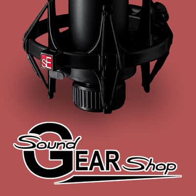 sE Electronics sE2300 Large Diaphragm Multipattern Condenser Microphone 2020-2023 - Black image 3