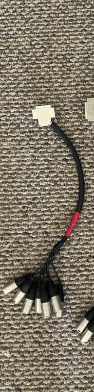 Mogami DB25 - Male XLR 2013 - 2013 - Black image 1