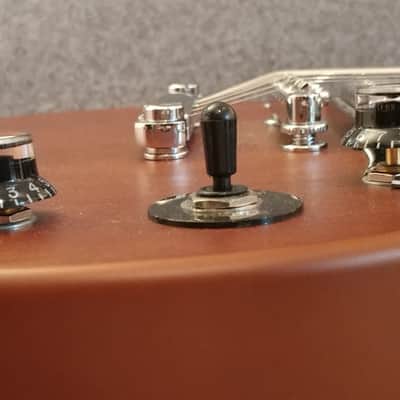 A Very Special 2021 Custom Built Epiphone Les Paul Special VE Not Just Any Epi Les Paul! image 10