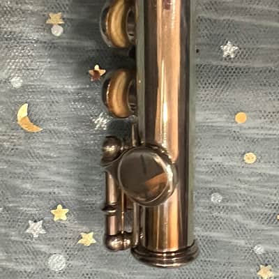 WILLIAM S. HAYNES Db PICCOLO 1923 - STERLING SILVER image 16