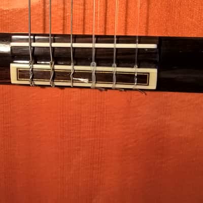 Alvarez Professional Series Model 5202 Classical Guitar -- Mint Condition; w/ SKB Hard Shell Case image 21