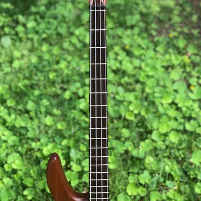 Birdsong Cortabass 2H Shortscale Custom Bass image 6