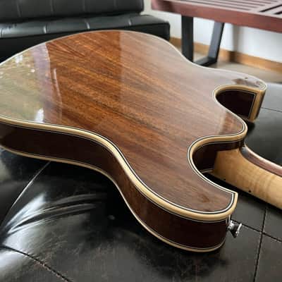 Equator G2 2025 - Claro Walnut image 7